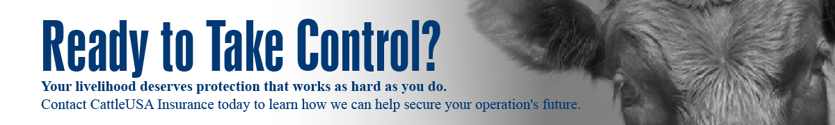 Ready to Take Control?